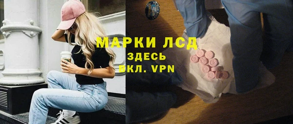 прущие грибы Калининец