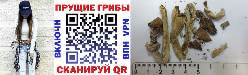 Галлюциногенные грибы ЛСД  Южноуральск 