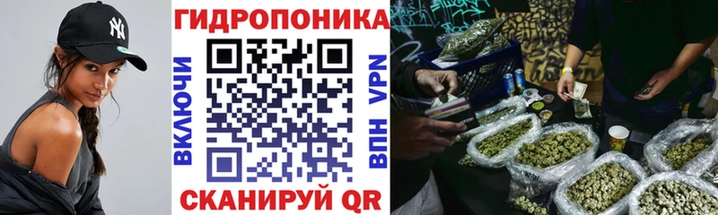 Конопля SATIVA & INDICA  где найти наркотики  Южноуральск 